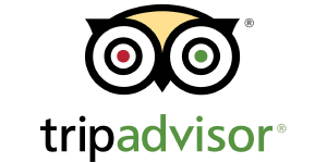 Tripadvisor logo